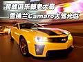 黃蜂俱樂部老大哥 雪佛蘭Camaro大駕光臨