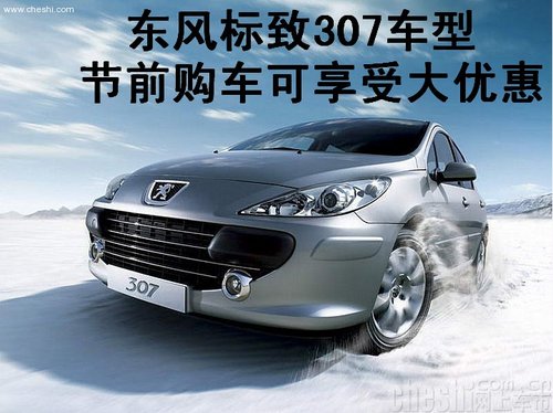 东风标致官网旗舰店,东风标致官网旗舰店入口