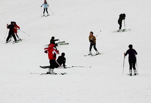 【之信奔驰--高山滑雪自驾游-浙江之信汽车有限