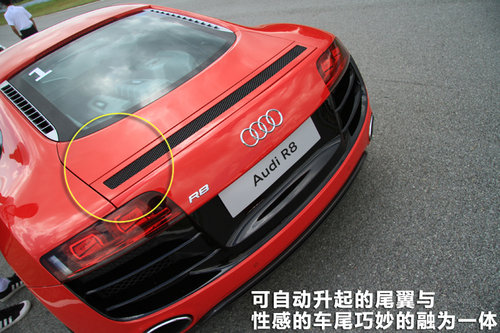 低调的高手 赛道试驾奥迪R8跑车V10-5.2L