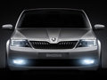 斯柯達(dá)新款概念車 5門掀背造型/或?qū)⒘慨a(chǎn)
