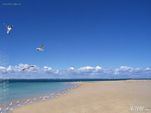 十一自驾游三天推荐路线:山东线路