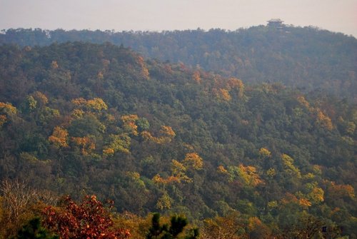 开车出游赏初秋，五款高性能小车推荐