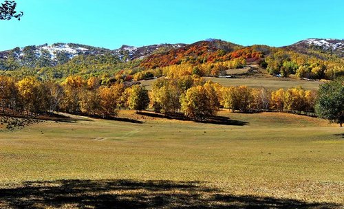 开车出游赏初秋，五款高性能小车推荐
