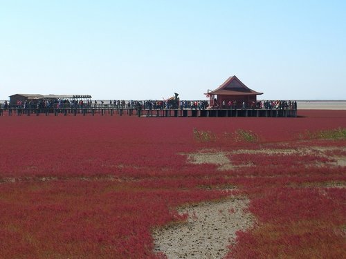 开车出游赏初秋，五款高性能小车推荐