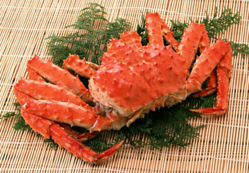 友情试驾 诺之生活阳澄湖环湖自驾游
