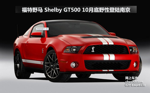 福特野马Shelby GT500 10月底登陆南京