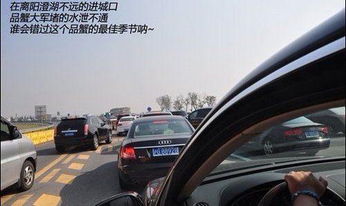 蟹肥味美  中进众旺举行阳澄湖品蟹行
