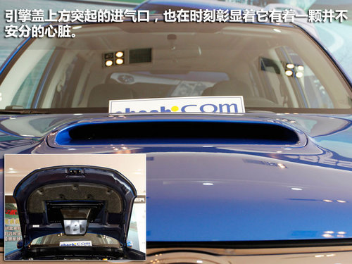 新森林人S-EDITION实拍 运动越野新风潮