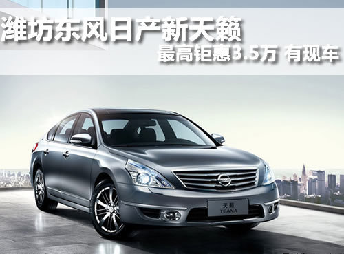 潍坊 百大天达 新天籁