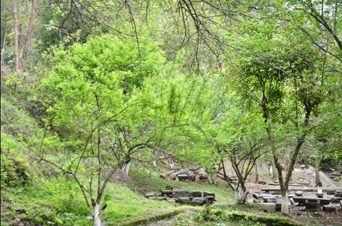 深圳中汽南华双龙爱心植树自驾之旅手记