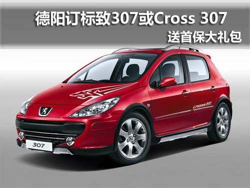 标致307或Cross307送礼包