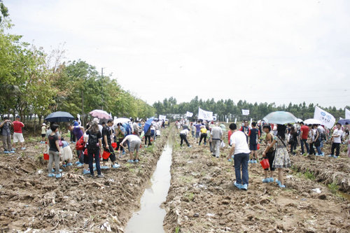 关爱湿地 梦想同行 一汽大众购车植树月