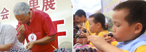 2012中国宾川葡萄文化节车展圆满结束