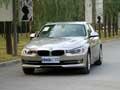 呼市BMW新3系 售33.9--47.3万 订车有礼
