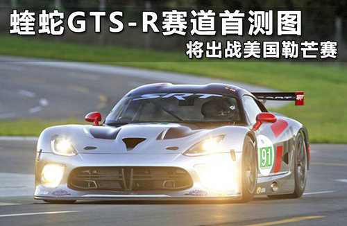 蝰蛇GTS-R性能版首发 首次参赛夺取前十