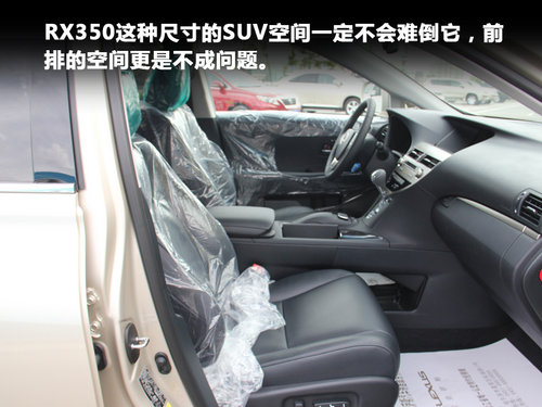 全新换脸-细腻的奢华实拍雷克萨斯RX350