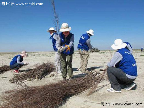 五年治沙造万亩绿地 现代守护北方蓝天