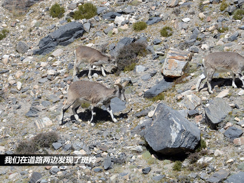 日行千里挑战高原 瑞虎西宁—珠峰游记