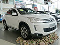 另類藝術 法式浪漫-實拍 C4 Aircross