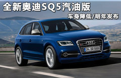全新奥迪SQ5汽油版 车身降低/明年发布