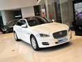 鄂爾多斯市捷豹XJ 指定車型鉅惠45000元