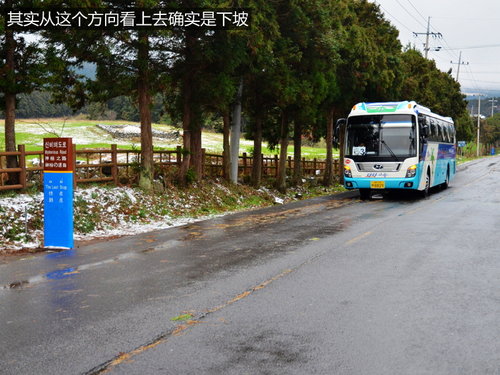 体检/美食/济州岛 跟着现代车主游韩国