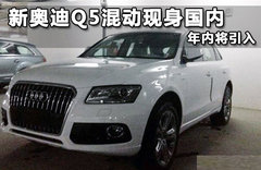 新款奥迪Q5 Hybird现身国内 年内将引入