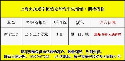 咸宁上海大众polo优惠促销 最后3台