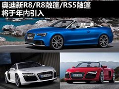 奥迪新R8/R8敞篷/RS5敞篷 将于年内引入