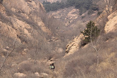 迎春赏景 汽车网一路洒脱奔“虹螺”