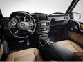 全新G 63 AMG和G 65 AMG 接受一切挑战