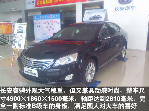 棗莊到店實(shí)拍全新睿騁-長(zhǎng)安首款B級(jí)車(chē)