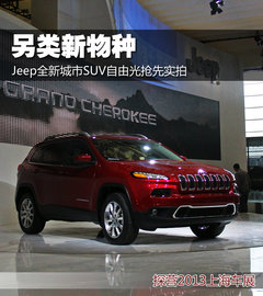 另类新物种 Jeep全新城市SUV自由光实拍