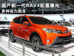 国产新一代RAV4配置曝光 多种动力组合
