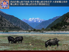 初次感受西藏文化 拉萨至林芝地区游记