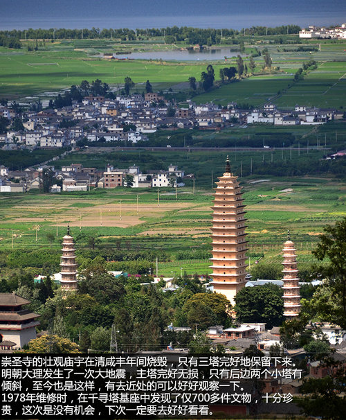 壁虎中国行第一天 在大理苍山采茶制茶