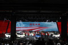 杨澜/孙燕姿助阵 奥迪销售200万辆庆典