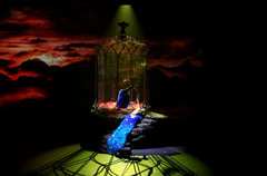 沈阳华宝携手车主共赏杨丽萍《孔雀》舞剧