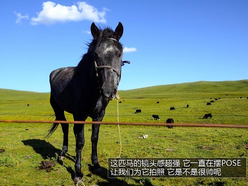 感受别样甘肃/献爱心 福特翼虎无尽之旅