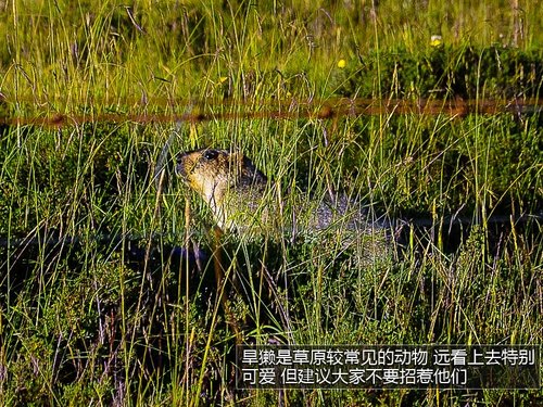 感受别样甘肃/献爱心 福特翼虎无尽之旅