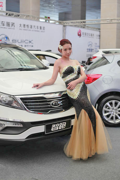2013首届大理泛亚国际汽车博览会开幕式