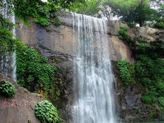 爱传万家沈阳信宝行2013全系体验日爱心义卖