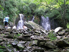 爱传万家沈阳信宝行2013全系体验日爱心义卖