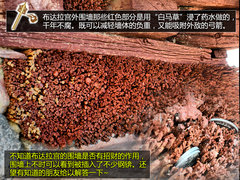 探访人间圣地 拉萨/珠峰/加德满都-游记
