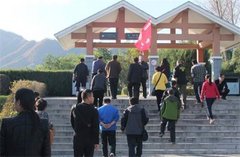 维特拉“撒野”一族挚爱车生活