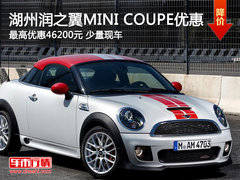 湖州润之翼MINI COUPE