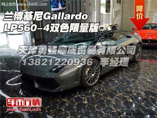 兰博基尼Gallardo LP560-4  双色限量版