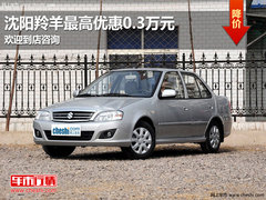 沈阳羚羊最高优惠0.3万元 欢迎到店咨询