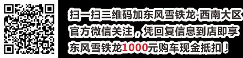 东风雪铁龙21周年纪念版交1万抵3万